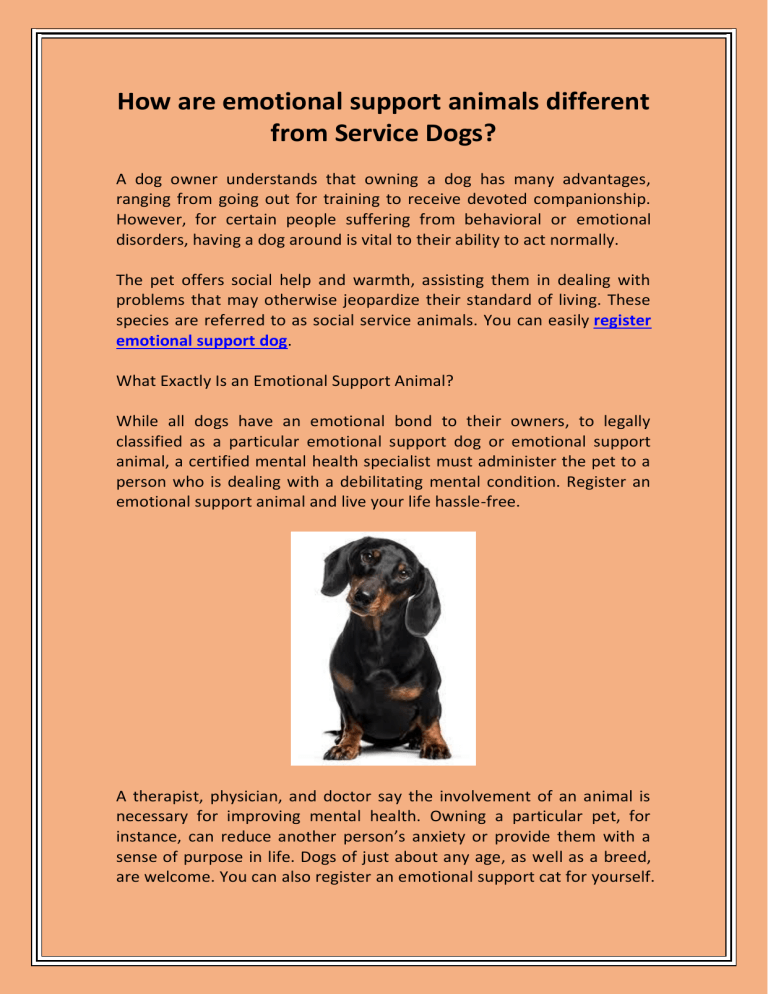 How are emotional support animals different from Service Dogs
