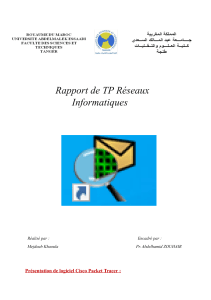 Rapport de TP Réseaux Informatiques