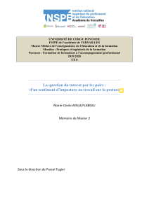 Tutorat par les pairs : Sentiment d'imposture et posture