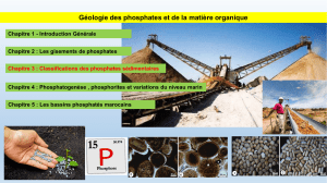 Géologie des phosphates et matière organique : Notes de cours