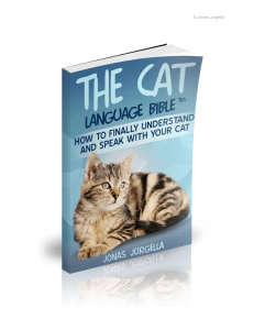 Jonas Jurgella, The Cat Language Bible™