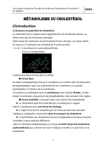 metabolisme-du-cholésterol2021-