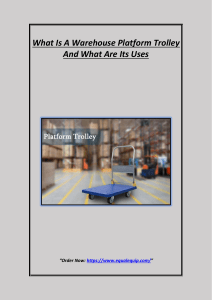 What Is A Warehouse Platform Trolley And What Are