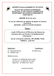 Audit RH et Red&eacute;ploiement d'Entreprise : M&eacute;moire de Master