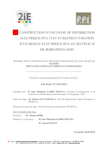 Mémoire Master GEE 2IE Julie Rosine YE 05 Juillet 2019