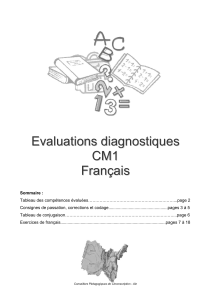 Eval diagnostique Francais CM1