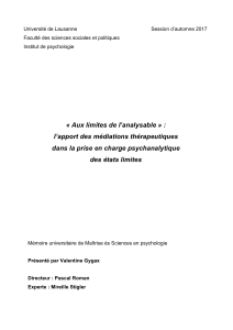 &Eacute;tats Limites: M&eacute;diations Th&eacute;rapeutiques en Psychanalyse