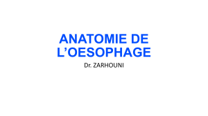 ANATOMIE DE L’OESOPHAGE
