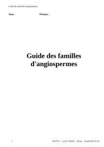 Guide-des-familles-dangiospermes-2019