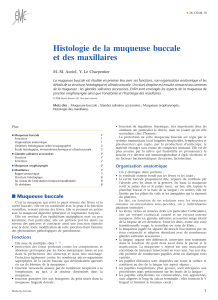 Histologie De La Muqueuse Buccale Et Des Maxillaires
