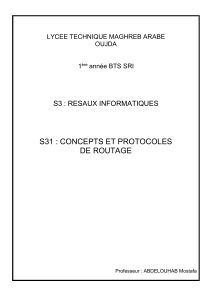 Concepts et protocoles de routage - BTS SRI
