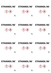 Ethanol Absolut
