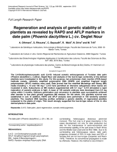 regeneration and analysis-of-genetic-stability-of-plantlets-as-revealed-by-rapd and-aflp-markers-in-date-palm phoenix dactylifera l cv deglet-nour + 2010
