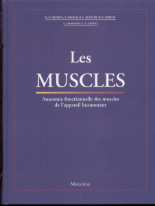 Les Muscles