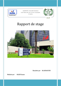 160417671-Rapport-de-Stage-ocp