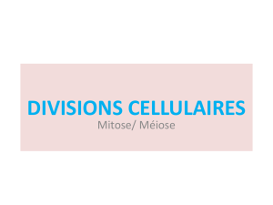 divisions cellulaires