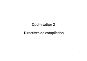 C66-Optimisation C P2