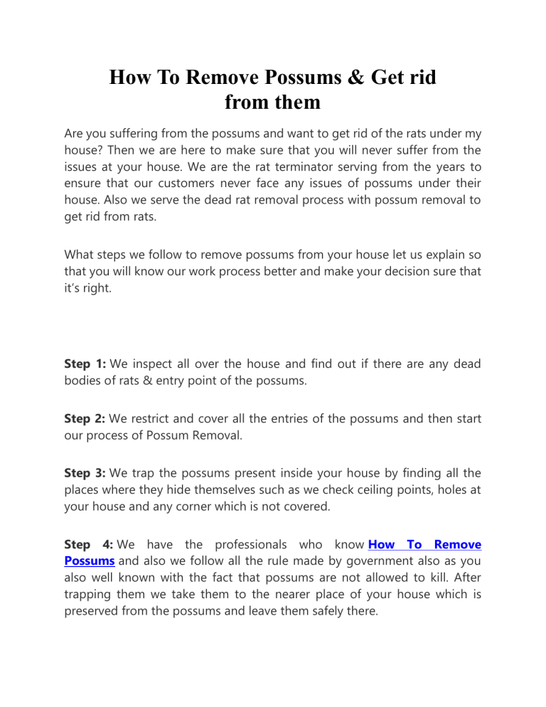 How To Remove Possums & Get rid from them