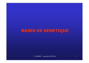 base-genetique
