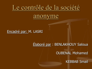 125561507-Le-controle-de-la-societe-anonyme
