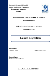 Audit de Gestion : Mémoire de Licence en Sciences Économiques