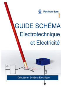 Guide Sch&eacute;mas &Eacute;lectricit&eacute; Industrielle & &Eacute;lectrotechnique