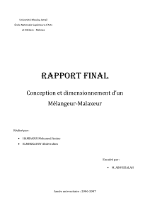 7819199-Rapport-Conception-et-dimensionnement-d-un-Melangeur-Malaxeur