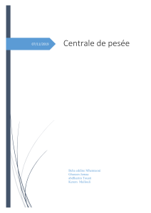 480988999-rapport-projet-workshop-IOT-pdf