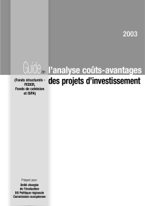 GUIDE DANALYSE COUTS AVANTAGES PROJETS DINVESTISSEMENTS