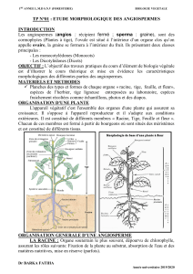 les TP biologie v&eacute;g&eacute;tale