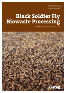 Elevage de Mouches Soldats Noires BSF Biowaste Processing 2nd Edition LR