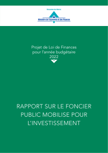 13- Rapport Foncier Public Fr