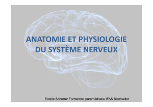 ANATOMIE-PHYSIOLOGIE DU SYSTEME NERVEUX 2013041712271888
