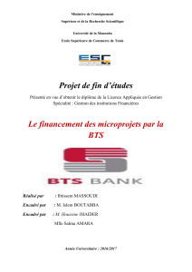 Financement des microprojets par la BTS : M&eacute;moire de Licence