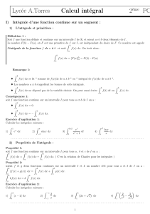 Calcul Integral Cours