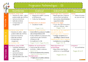 Progression 2 maths CE1 BDG 2016