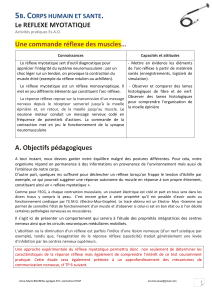 5B. CORPS HUMAIN ET SANTE. Le REFLEXE MYOTATIQUE Activités pratiques Ex.A.O.