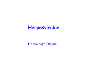 HERPESVIRIDAE