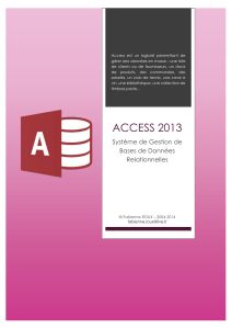 microsoft-access-2013