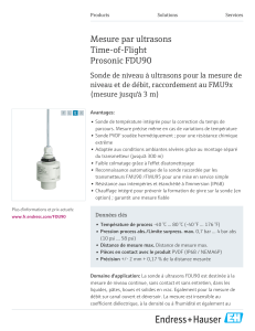 Endress-Hauser Prosonic S FDU90 FRcapteur de niveau 1m