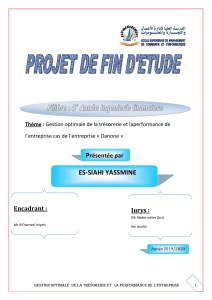 Gestion de tr&eacute;sorerie et performance : Cas Danone