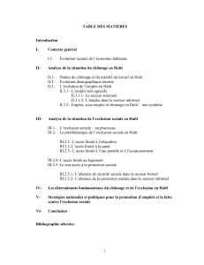 Ch&ocirc;mage et exclusion sociale en Ha&iuml;ti : Table des mati&egrave;res