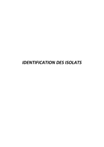 IDENTIFICATION DES ISOLATS