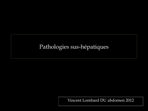 Pathologies-sus-hépatiques-VLoDU12FILEminimizer
