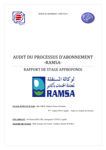 Audit du Processus d'Abonnement - RAMSA