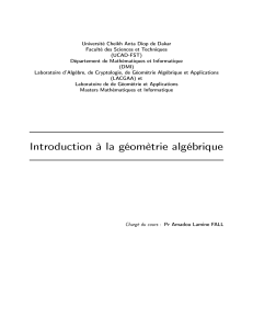 Cours d'introduction à la géométrie algébrique 