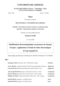 MODELISATION ELECTROMAGNETIQUE EN PRESENCE DE CHARGES D’ESPACE. APPLICATION A L’ETUDE DE TUBES ELECTRONIQUES - 247 pg