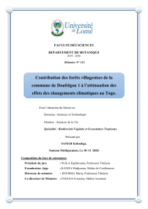 For&ecirc;ts villageoises et att&eacute;nuation du changement climatique au Togo