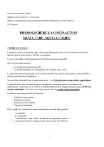 4.5.LA CONTRACTION MUSCULAIRE