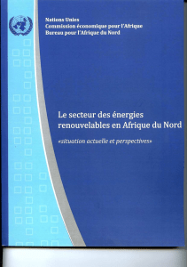 Renewable energy sector in north africa